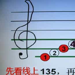 毛淮奕的头像