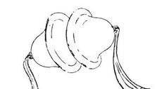 乳钹
