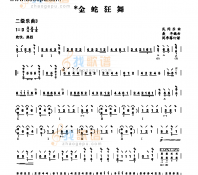 二级乐曲《金蛇狂舞》 民乐类 琵琶