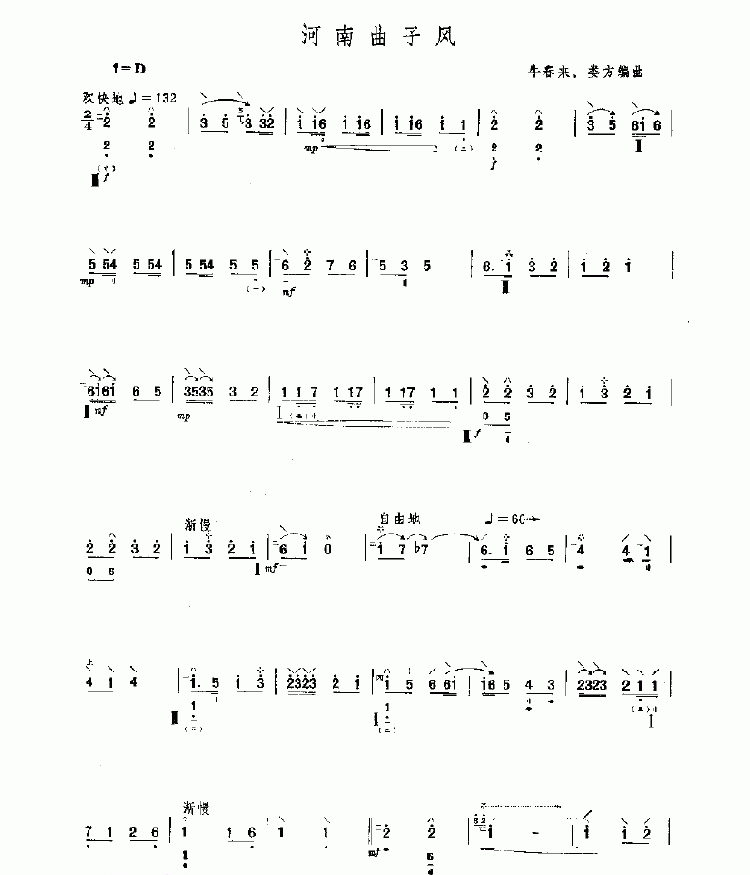 河南曲子风 民乐类 琵琶