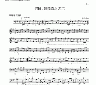 四级练习曲二首 民乐类 琵琶