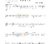 河南曲子风 民乐类 琵琶