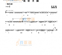 一级乐曲《花好月圆》 民乐类 琵琶