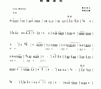 粉蝶采花 民乐类 唢呐