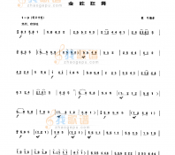 金蛇狂舞第二版 民乐类 唢呐