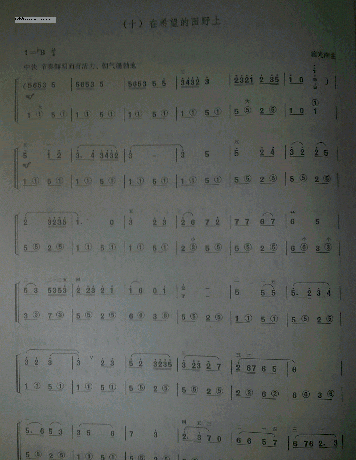 手风琴简谱《在希望的田野上》一