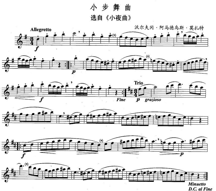 小步舞曲（选自《小夜曲》 [独奏部分]）2