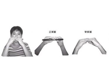 复音口琴教程：一、基本持法与姿势