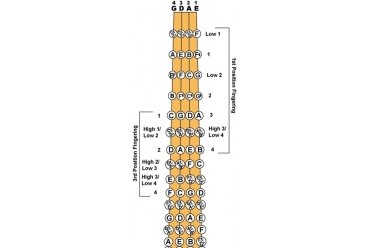 小提琴入门教程第一把位第三把位指位图