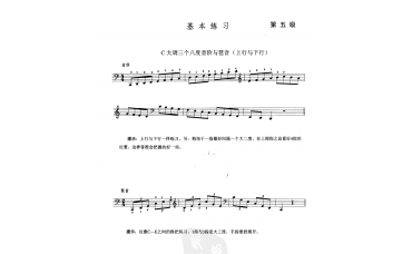 <strong><font color='#330099'>大提琴第五级练习曲</font></strong>
