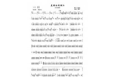 葫芦丝独奏曲：美丽的瑞丽江
