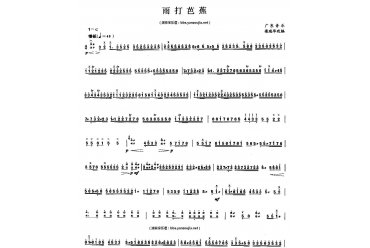 雨打芭蕉扬琴谱