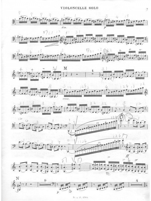 saint_saens7.jpg saint_saens7.jpg