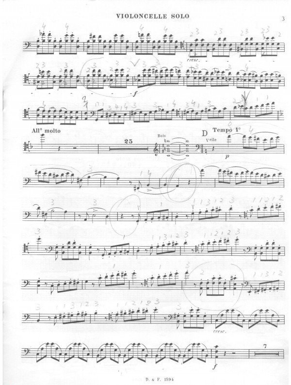 saint_saens3.jpg saint_saens3.jpg