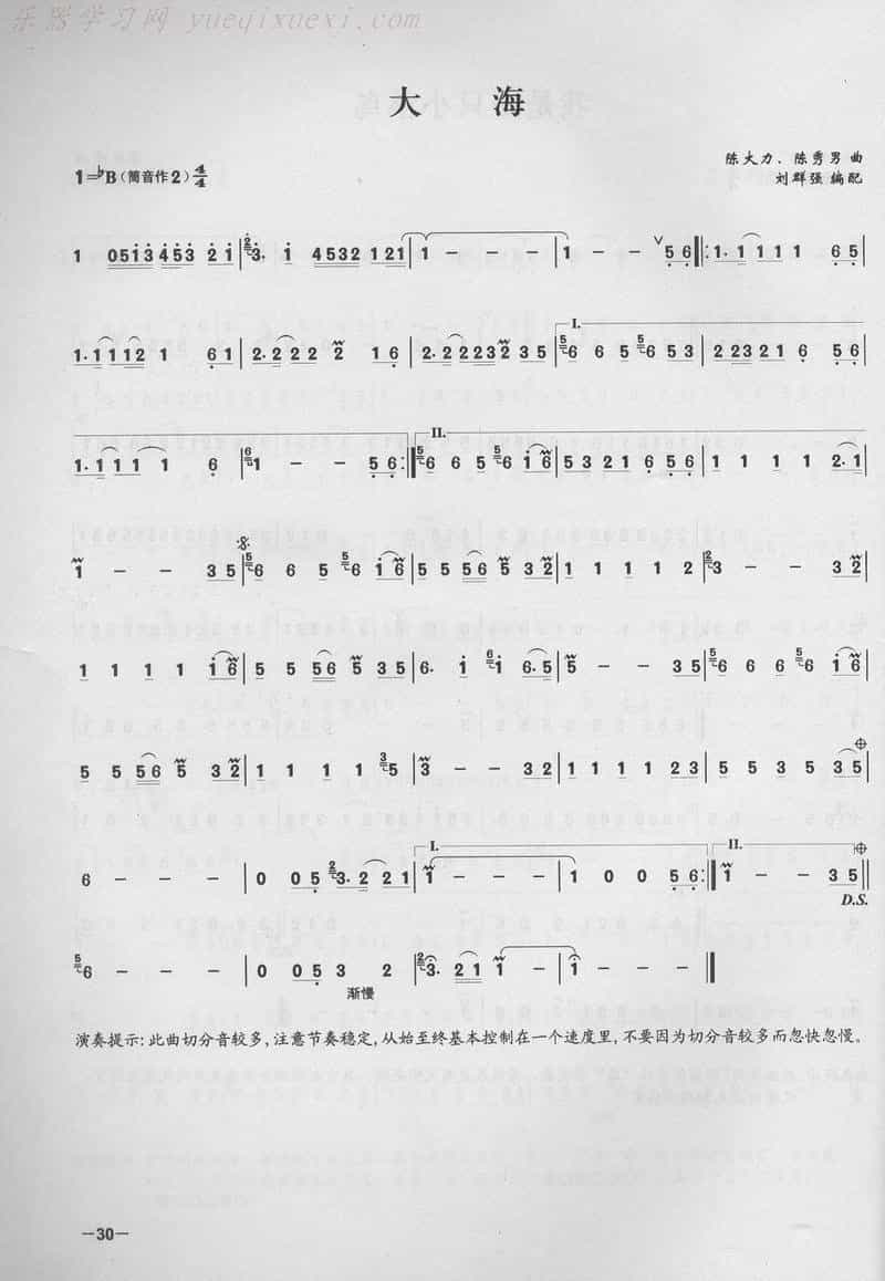 笛子演奏通俗歌曲谱之：大海竹笛乐谱 