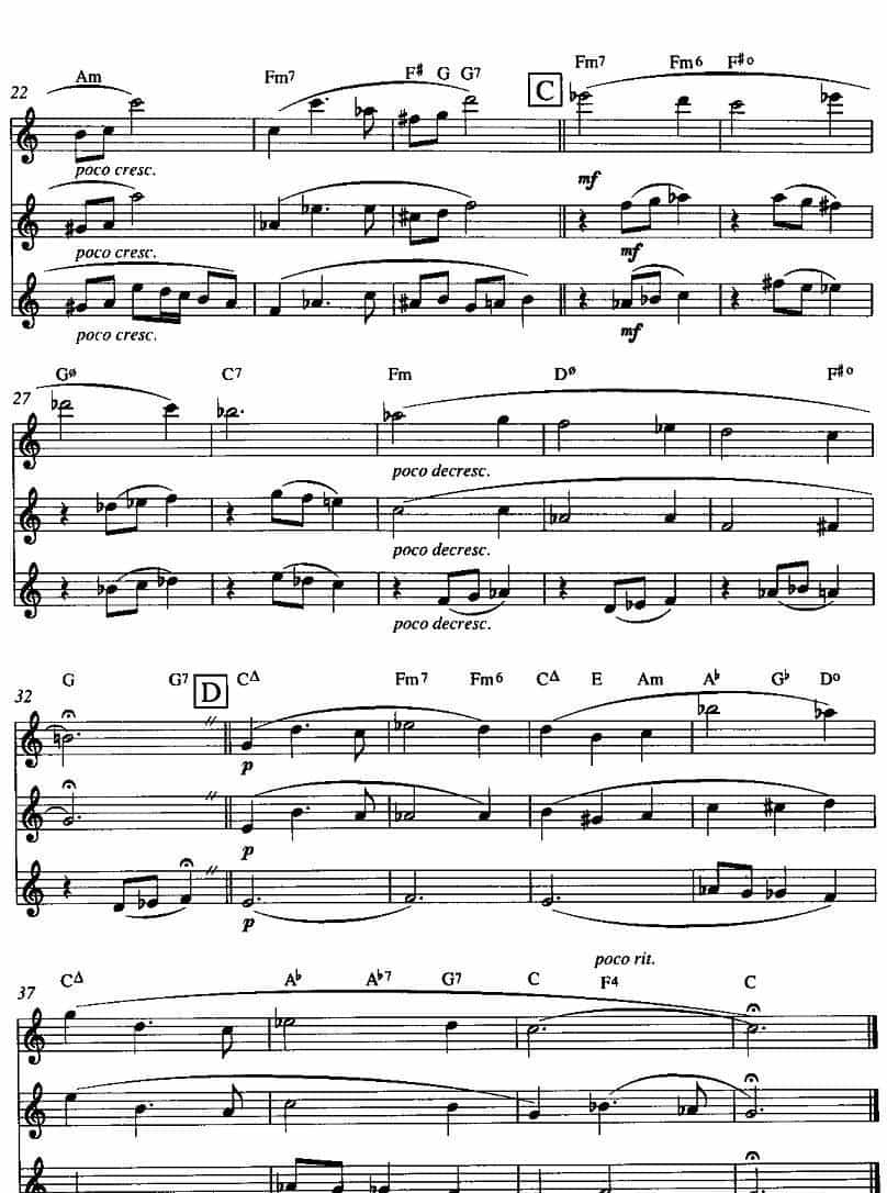 面向明天（长笛三重奏）