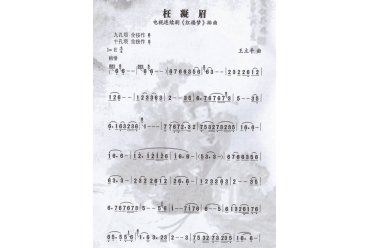 埙独奏曲谱：枉凝眉