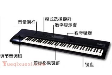 电子琴指法练习