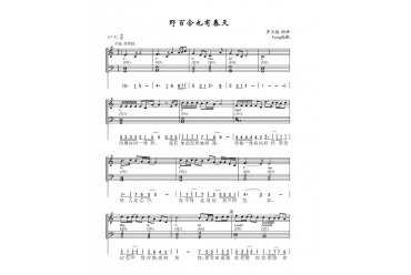 精品电子琴曲谱：野百合也有春天