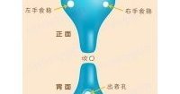 详解七孔陶笛指法，七孔陶笛指法表图片