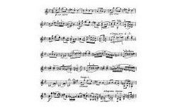 克莱斯勒-德沃夏克-G大调斯拉夫舞曲第1号Violin Fritz Kreisler, Slavonic Dance No.1 in 
