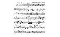 克莱斯勒-戈多夫斯基-传奇 第11号 Fritz Kreisle, Leopold Godowsky, Saga