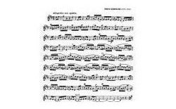 克莱斯勒-拉普莱希尔斯 (路易库伯兰 风格)Violin  Fritz Kreisler  La Precieuse  In the 