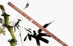 怎么选笛子和笛子常识