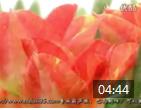 杨捌伍葫芦丝教学视频《映山红 葫芦丝独奏欣赏 倚音练习谱例分析讲解》
