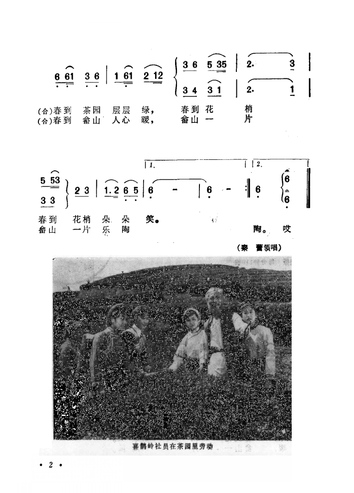 电影喜鹊岭茶歌歌曲集