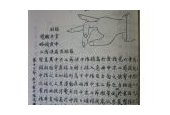 古琴手势教学 第十三节《右食中指蠲势“幽谷流泉势”》