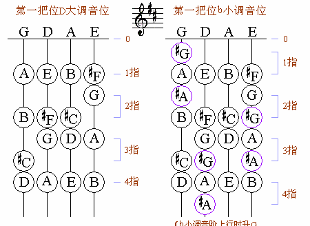 小提琴第一把位各调音位图3