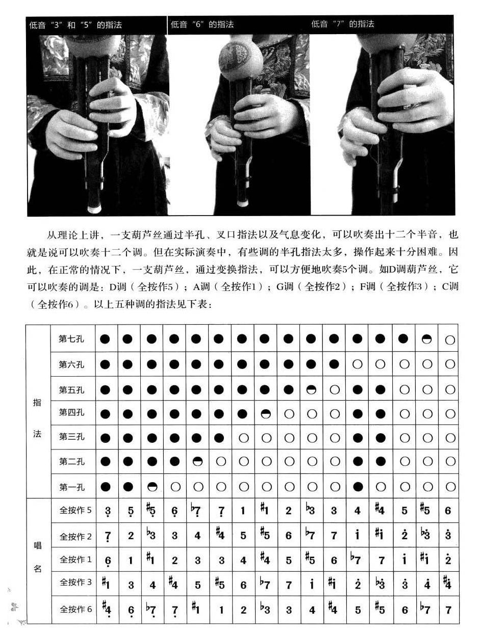 葫芦丝的指法及转调