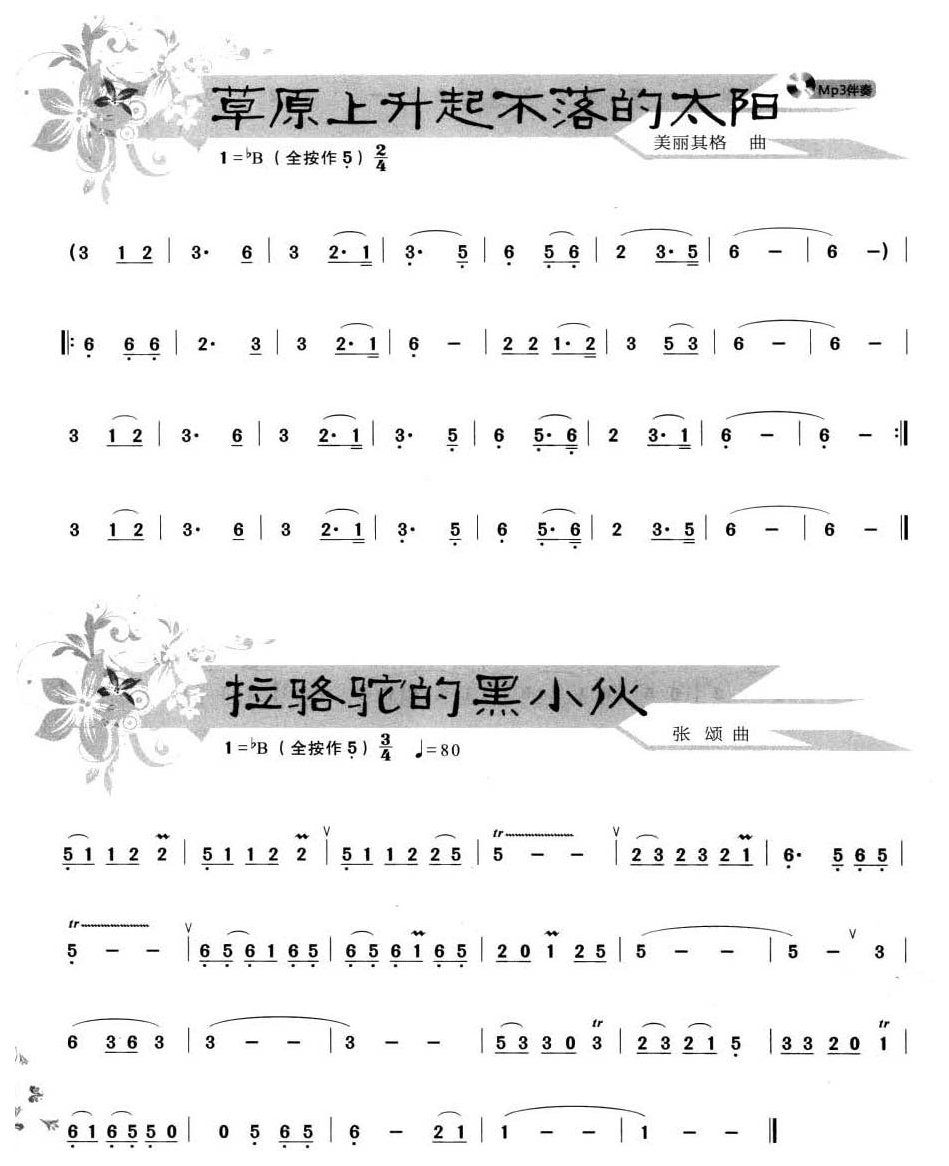 葫芦丝小乐曲24首1