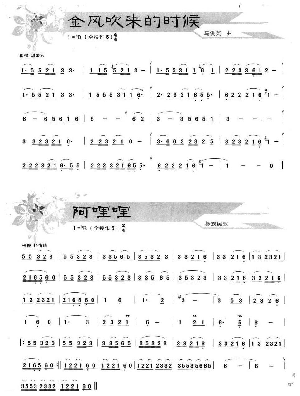 葫芦丝小乐曲24首2