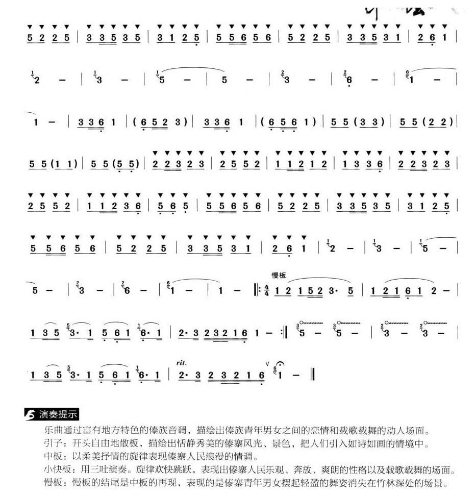 葫芦丝独奏乐曲【傣寨情歌】