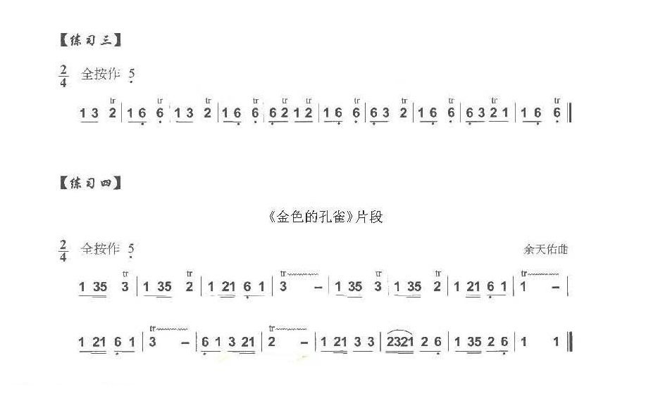巴乌手指技巧练习《巴乌颤音练习曲及技巧》