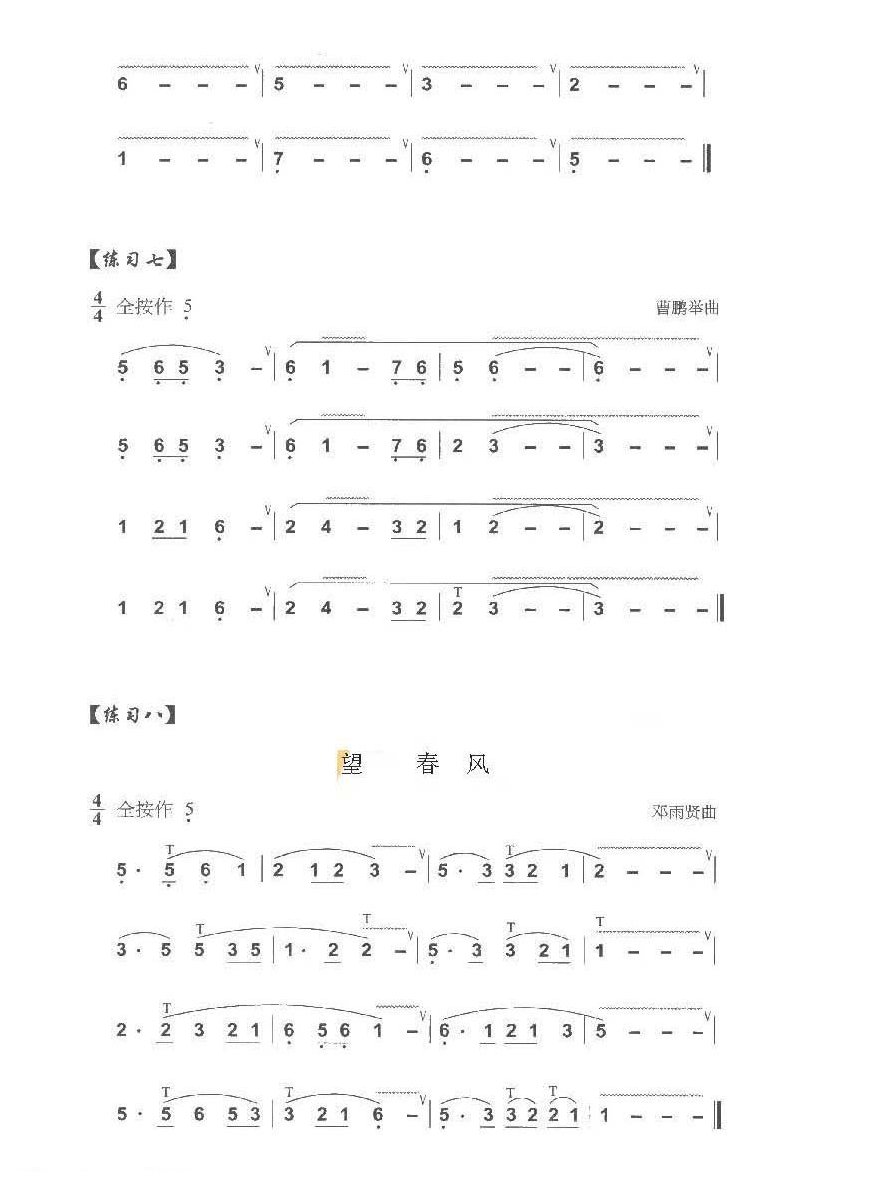 巴乌手指技巧练习《巴乌虚指颤音和腹颤音练习曲及技巧》