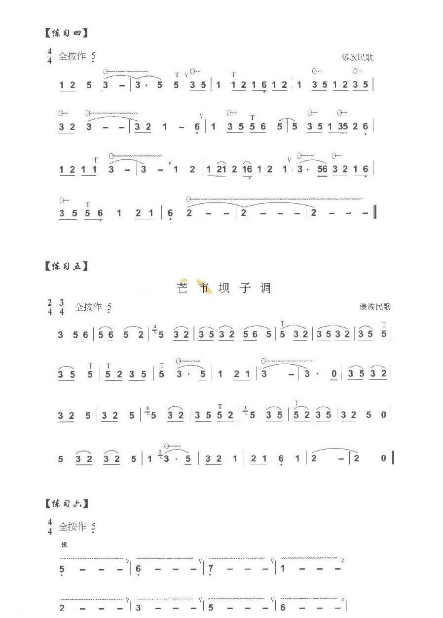 巴乌手指技巧练习《巴乌虚指颤音和腹颤音练习曲及技巧》