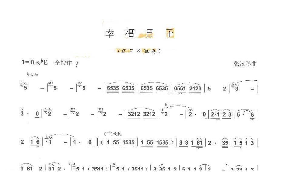 巴乌中高级乐曲《幸福日子》张汉举曲