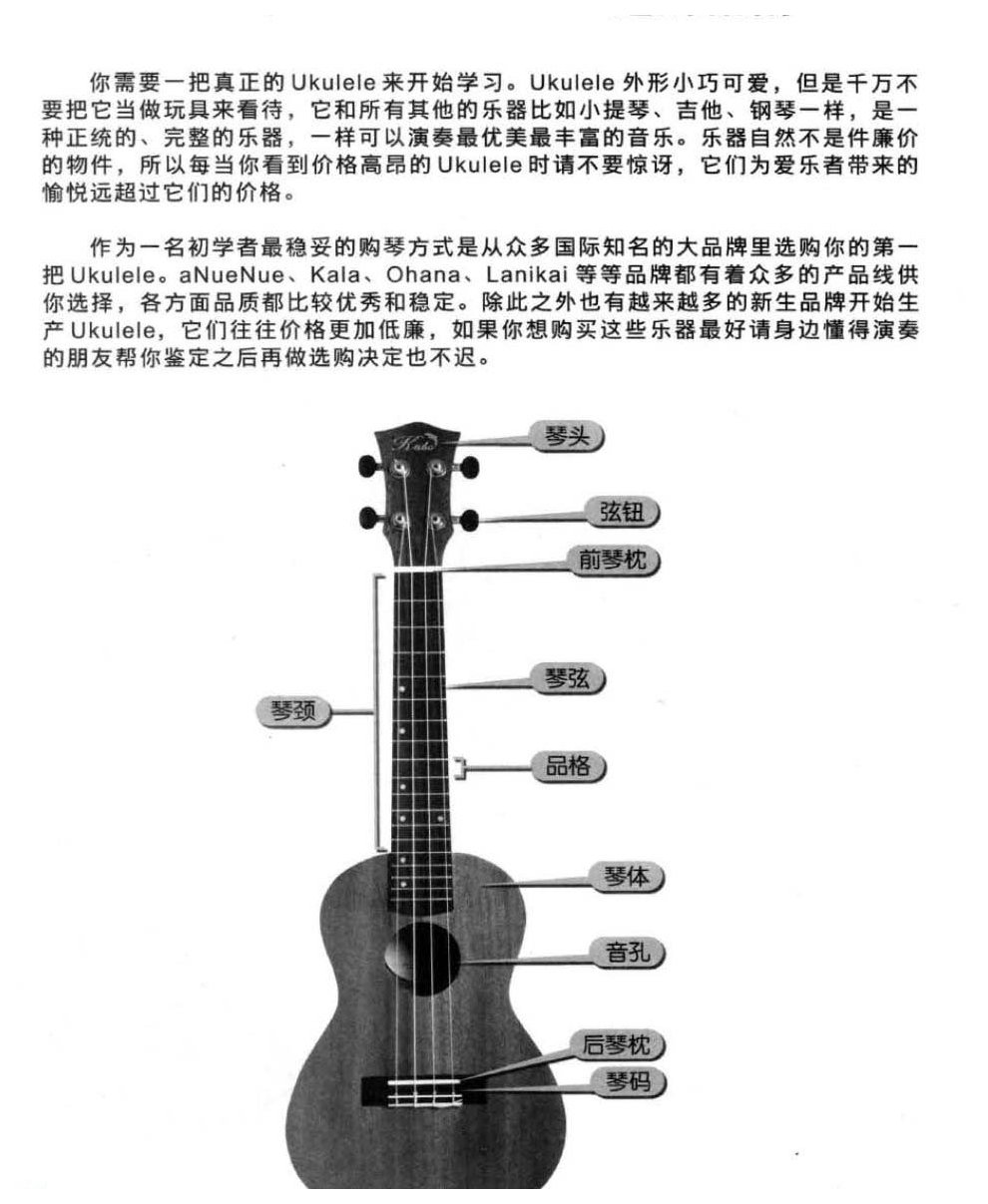 新手Ukulele选购指南