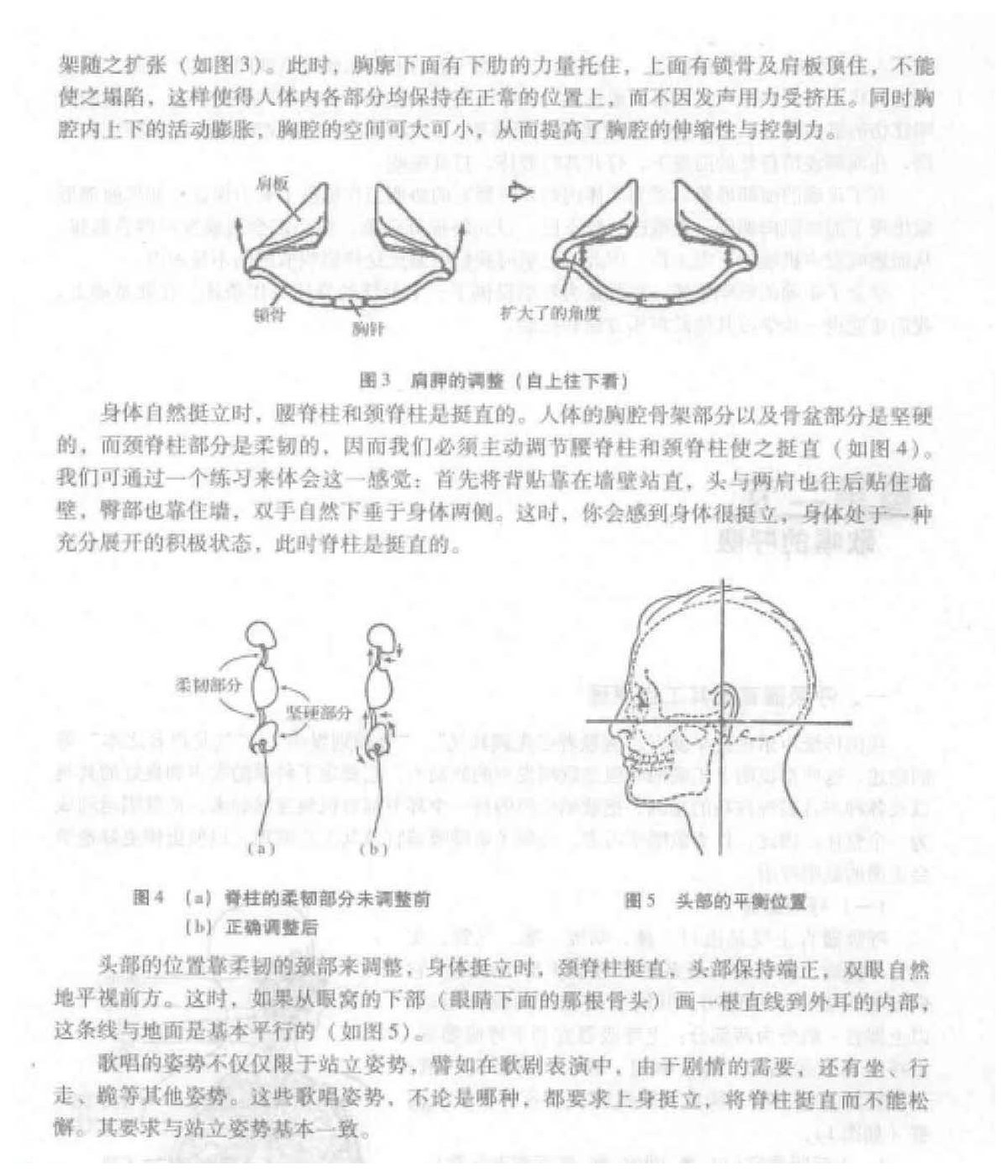 声乐理论教程《歌唱的姿势》