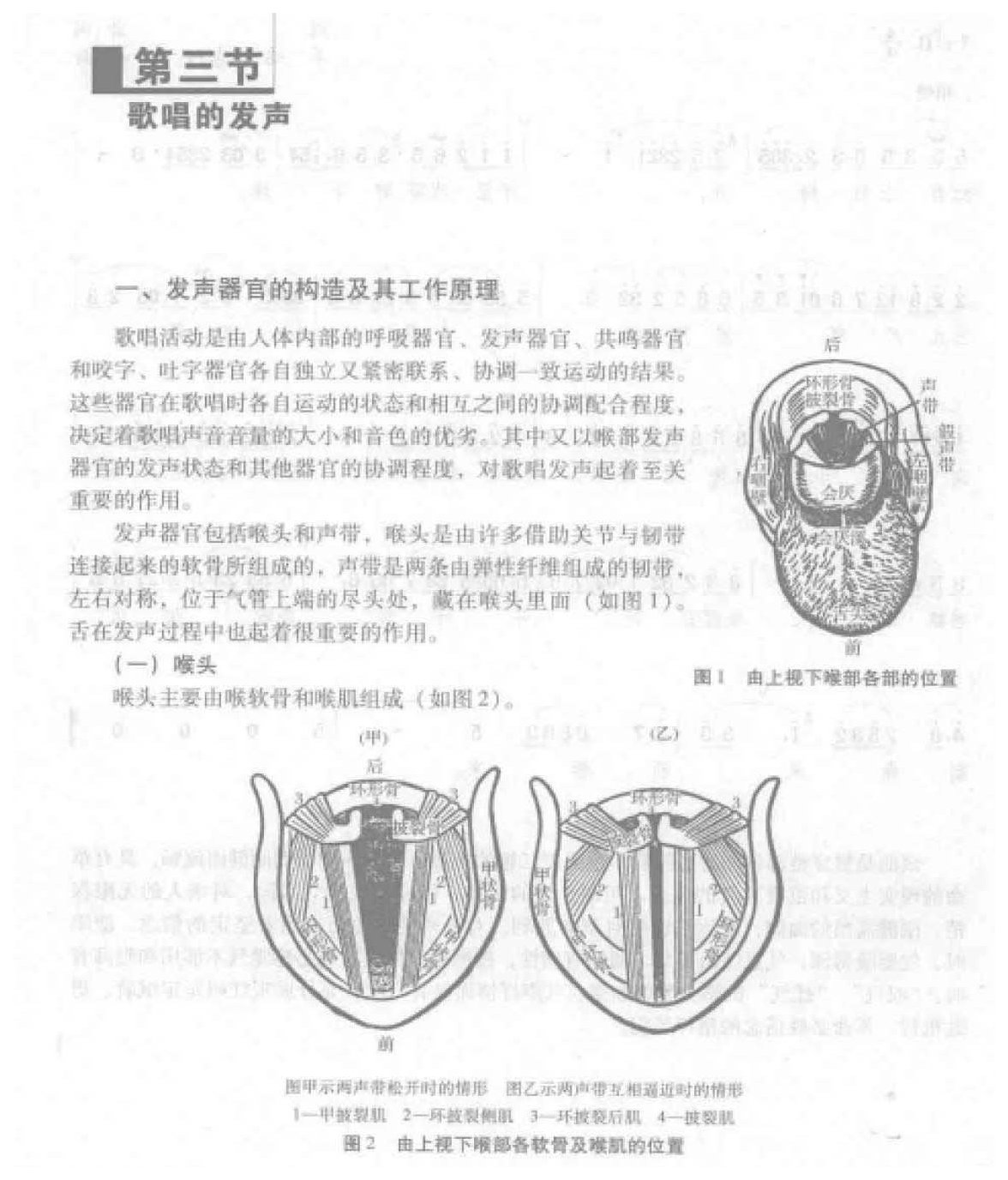 歌唱的发声《发声器官的构造及其工作原理》