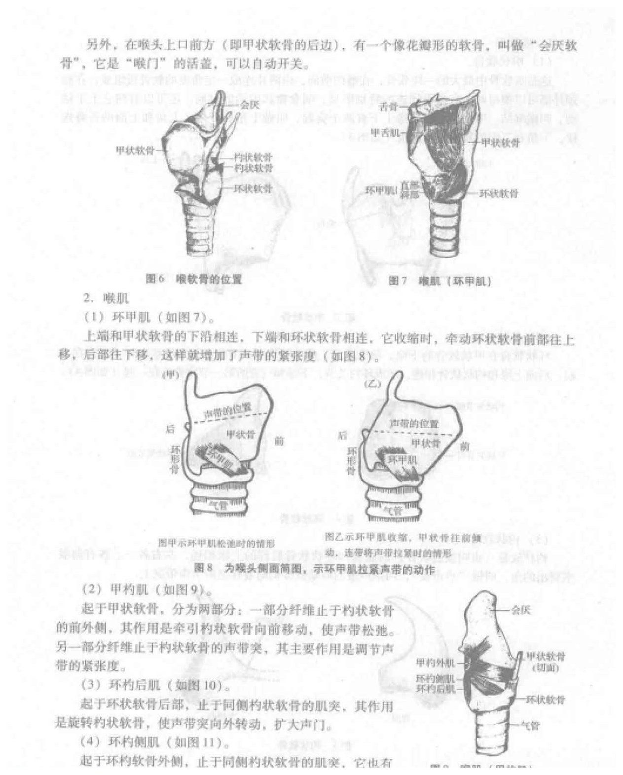 歌唱的发声《发声器官的构造及其工作原理》