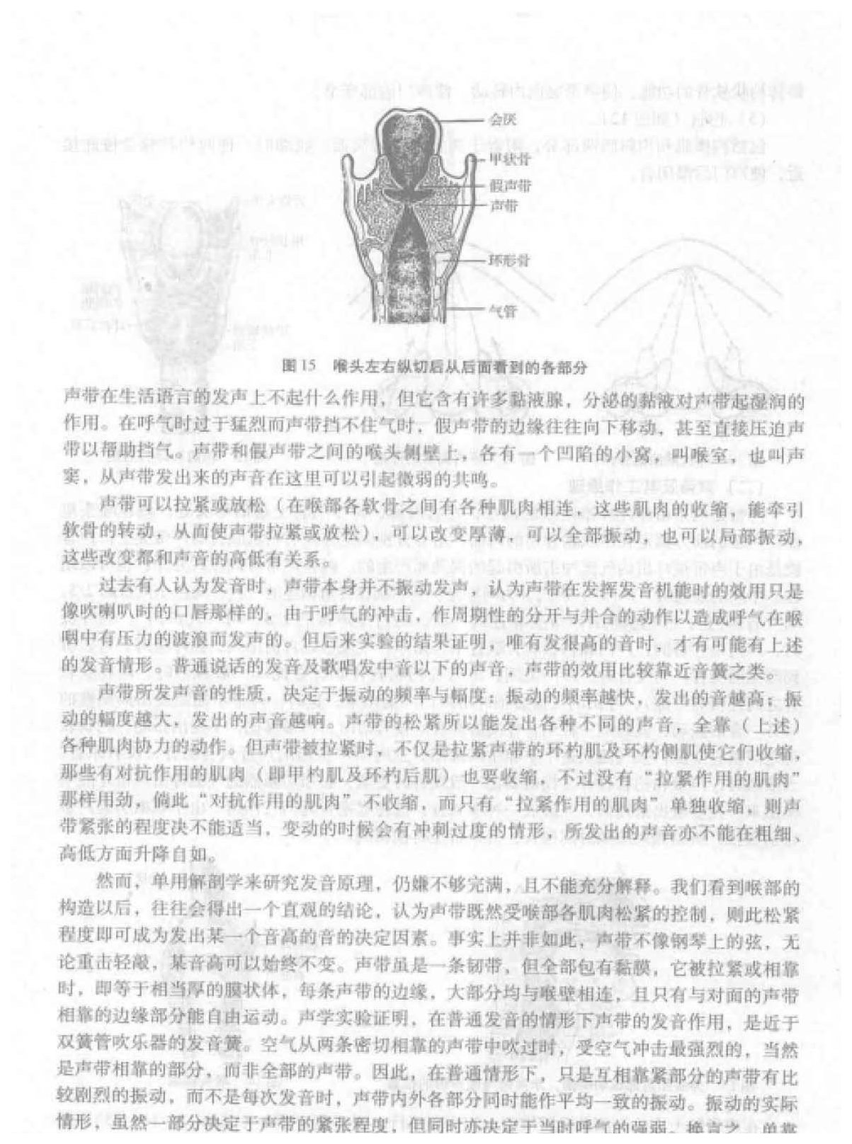 歌唱的发声《发声器官的构造及其工作原理》