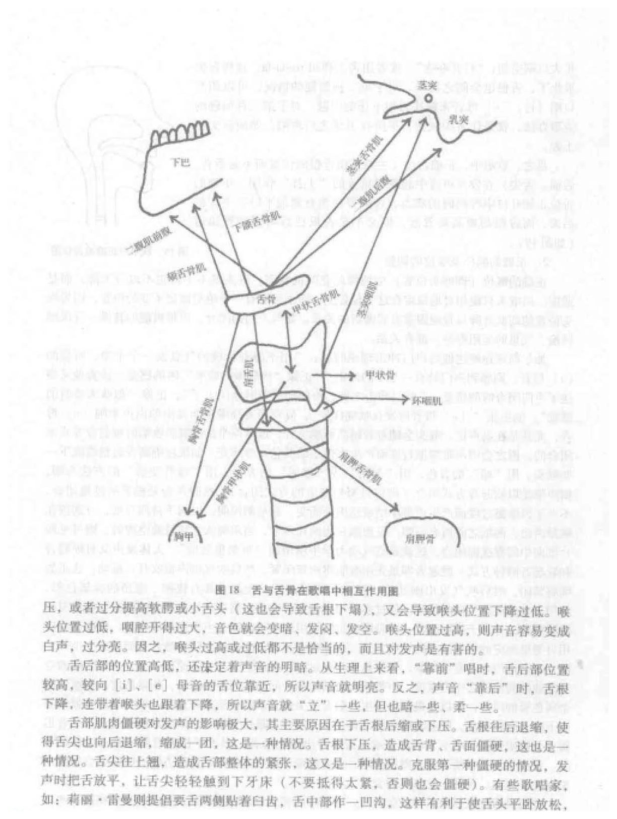 歌唱的发声《发声器官在歌唱中的正确运用》