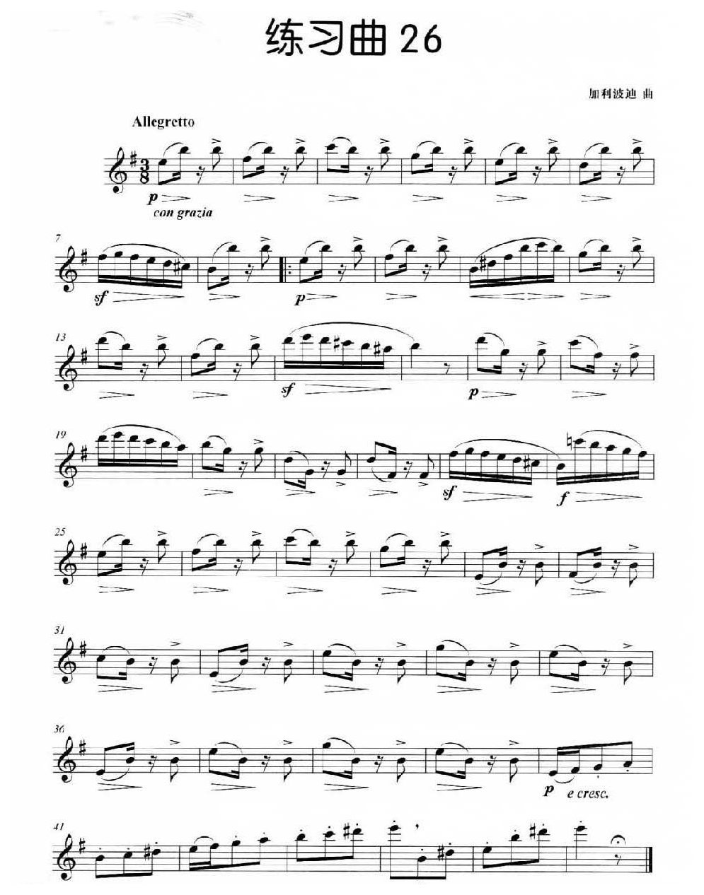 长笛独奏练习曲26《加利波迪 曲》