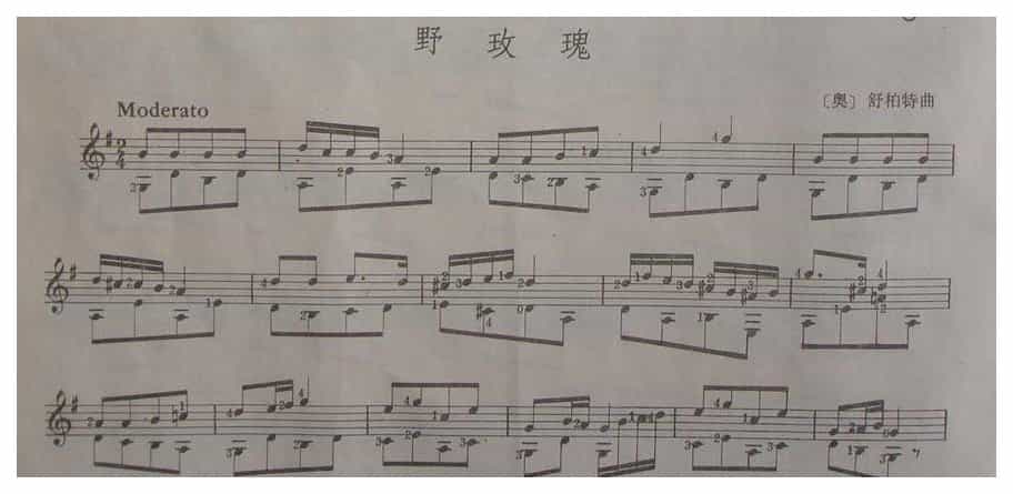 古典吉他乐曲《野玫瑰》[奥]舒柏特曲