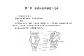 歌唱的生理基础《歌唱的发声器官与运用》