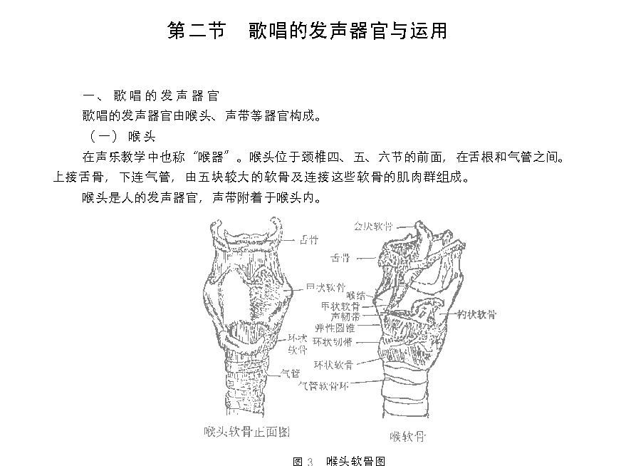 歌唱的生理基础《歌唱的发声器官与运用》